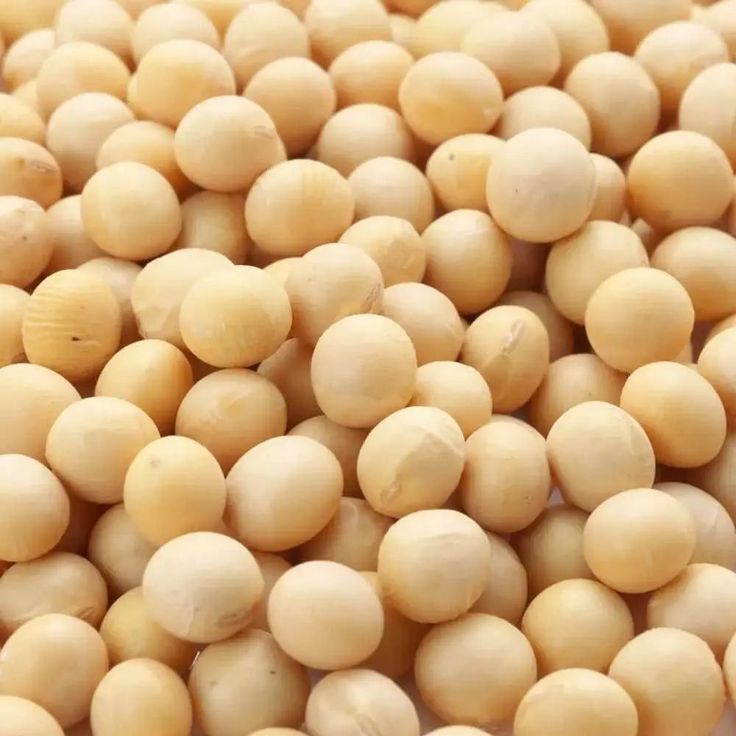 600 seeds heirloom soybean seeds edamame soy pod soya bean seed soy legume for sale in wilsonville, il offerup