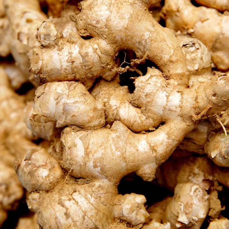 fresh organic ginger multiple benefits spices