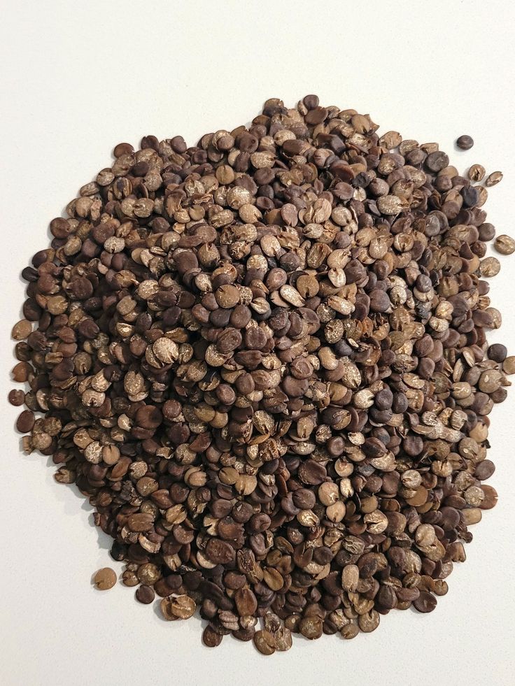 locust beans (iru netetou afiti) unfermented