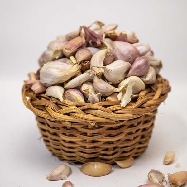 organic garlic bulb and seeds for sale order 1kg (35oz) garlic online