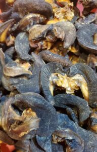 oven dried snail ready to ship(5 pieces