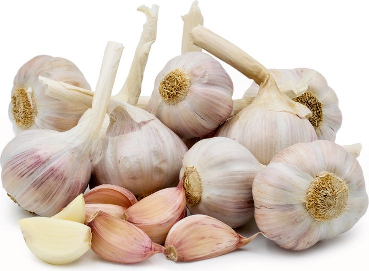 pink lautrec's garlic